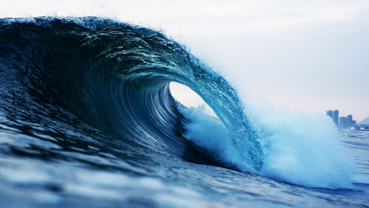 A surfer riding a reef break wave at Midigama, Sri Lanka